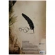 Зошит для нот Kite Harry Potter HP22-404, A4, 20 аркушів - изображение 4