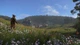 Kingdom Come: Deliverance Royal Edition Steam Key Код для Steam - зображення 3
