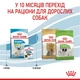 Сухой корм для щенков Royal Canin X-Small Puppy 500 г (3182550793568) - изображение 3