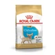 Сухий корм для цуценят Royal Canin Chihuahua Puppy 1.5 кг (3182550722544) - зображення 1