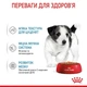 Влажный корм для щенков Royal Canin Mini Puppy 85 г (9003579008218) - изображение 2