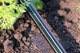 Капельная лента Presto-PS щелевая Blue Line отверстия через 10 см, расход воды 1,4 л/ч, длина 500 м (BL-10-500) - изображение 11