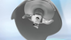 Blender Bosch MSM 4W420 Biały - obraz 3