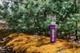 Термос Tramp Expedition Line 0,9 л фіолетовий (UTRC-027-purple) - зображення 5