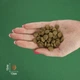Bravery Salmon Adult Cat Sterilized сухой корм для стерилизованных кошек, с лососем 2 кг - изображение 4