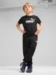 Детские теплые спортивные штаны-джоггеры на флисе для мальчика Puma ESS No.1 Logo 68493301 92-98 см Puma Black (4067983685811) - изображение 3