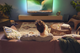 Soundbar Philips TAB5309 Black (4895229136779) - obraz 10