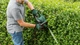 Кущоріз Bosch UniversalHedgeCut 60 480Вт 60см крок різу 30мм 3.7кг - изображение 5