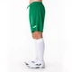 Шорты зеленые Joma NOBEL 100053.450 Joma S - изображение 4