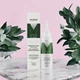 Концентрат-пилинг против перхоти Meddis Anti Dandruff, 100 мл - изображение 1