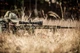 Прилад Nightforce ATACR 5-25x56 F1 ZeroS 0.1Mil сітка H59 Horus - зображення 11