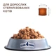 Корм сухий Club 4 Paws Sterilised для стерилізованих кішок з куркою 2 кг (4820083908934) - зображення 2