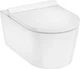 Унитаз подвесной с сиденьем HANSGROHE ELU PURA S 62025450 - изображение 1