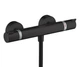 Термостат для душу HANSGROHE ECOSTAT 13116670 - зображення 1
