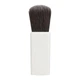 Маленькая плоская кисточка для румян Kanebo TWANY Lara Bouquet N Blush Brush - изображение 1