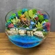 Флорариум Стич в тропиках с суккулентами и водоёмом 25 см - изображение 1