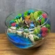 Флорариум Стич в тропиках с суккулентами и водоёмом 25 см - изображение 2