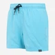 Шорты пляжные мужские Regatta Mawson SwShortIII RMM016-42L L Голубые (5063516012733) - изображение 6