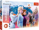 Puzzle Trefl Maxi Magiczna wyprawa Frozen 2 24 elementy 14298 (5900511142983) - obraz 1