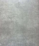 Лінолеум Lentex Pionieer 604-03 ширина 4.0 м - зображення 1