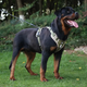Нейлонова двостороння тактична шлейка для собак Tactical Dog Harness XL Хакі - зображення 4