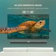 Кабель мультимедийный Display Port to Display Port 5.0m V1.2 DP102 Ugreen (10213) - изображение 7