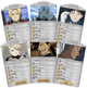 Gra planszowa Square Enix Full Metal Alchemist: Brotherhood - The Promised Day (edycja angielska) (SQUFA01) (66224883745) - obraz 3
