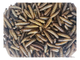 Чорна Левинка "Phoenix Worm". Корм для їжаків, щурів, комахоїдних птахів, рептилій - 65г - зображення 3