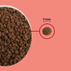 Сухой корм для котов Acana Highest Protein Indoor Cat Recipe беззерновой для взрослых и домашних 4.5 кг (a72398) - изображение 4