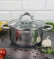 Каструля індукційна Ofenbach Casserole із нержавіючої сталі 2л зі скляною кришкою - изображение 7