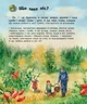 Дитяча енциклопедія про ліс Ranok Creative 614016 для дошкільнят - изображение 7