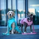 Дождевик для собак Max & Molly Raincoat Matrix 2.0 Turquoise, бирюзовый, XL - изображение 5