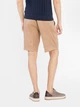 Шорты короткие мужские Arber Diego Shorts M29.49.16.521 50 Бежевые (2800000510312) - изображение 2