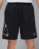 Шорты мужские Jordan Men's Dri-Fit Graphic Shorts S Комбінований HF9943-010 - изображение 2