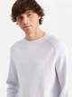 Джемпер мужской C&A GD-00192636 XL Сиреневый (4000003215806) - изображение 4