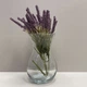 Ваза скляна 18 см Trendglass Asta 35445 - зображення 2