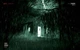 Дополнение Outlast: Whistleblower для ПК (Ключ активации Steam) - изображение 3