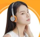 Навушники FiiO Snowsky Wind Silver - зображення 4