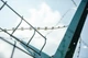 Проволока колюче-режущая спиральная RAZOR WIRE Сетка Запад диаметр кольца=500мм/3 скобы/(2,50мм/3,50мм)/10,00м - изображение 4