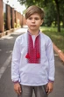 Вишиванка для хлопчика 6–13 років, льон, біла, трансформер рукав, домоткані вставки ,116-122, Білий з червоним - зображення 1