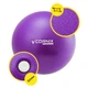 Мяч для пилатеса, йоги, реабилитации Cornix MiniGYMball 22 см XR-0225 Purple - изображение 5
