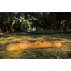 Сумка для хранения стоек для тента Naturehike NH20PJ201 размер L 85x11x12 см Mustard (6927595766965) - изображение 6