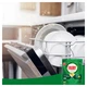 Таблетки для посудомоечных машин Fairy Original All in One Lemon 29 шт. (8006540726891/8700216237314) - изображение 7