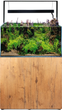 Zestaw akwariowy Aquael Ultrascape Forest Set 60 64.8 L (5905546327565) - obraz 9