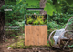 Zestaw akwariowy Aquael Ultrascape Forest Set 60 64.8 L (5905546327565) - obraz 11