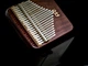 Калімба MEINL Sonic Energy Black Walnut Solid Kalimba KL2101S - изображение 12