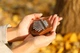 Калімба MEINL Sonic Energy Black Walnut Mini Kalimba KL801TOL - изображение 12