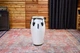 Конга MEINL Artist Series "Roberto Serrano" Conga 11" Pearl White RS11PW - изображение 3