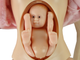 Лялька Lean Toys Кевін + Люсі набір хлопчик 32 см + жінка 31 см + дитина + аксесуари (5905515352475) - зображення 6