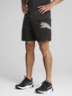Спортивные шорты для тренировок мужские Puma Essentials Train All Day Big Cat 52672301 S Black (4067983464164) - изображение 1